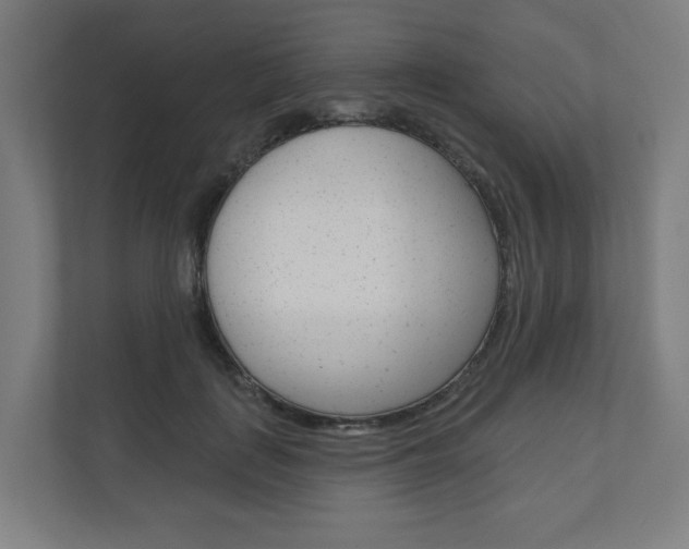 X0000110900651200906180947
