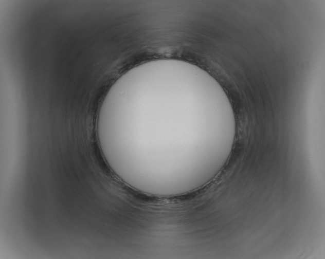 X0000110900656200906180947