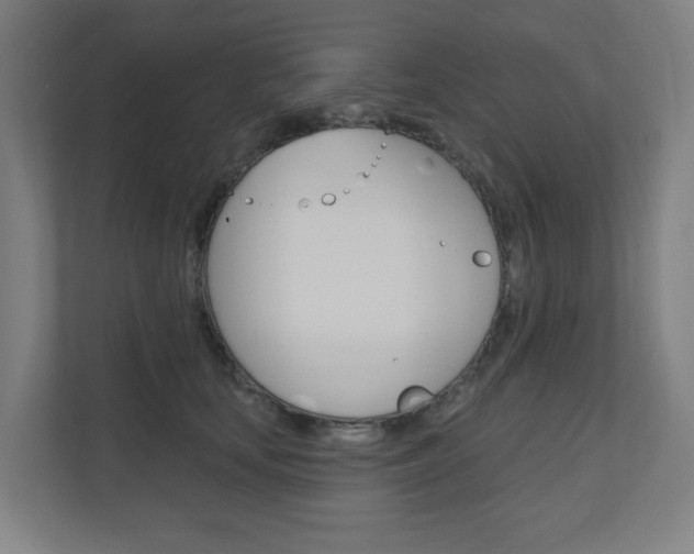 X0000110900659200906180947