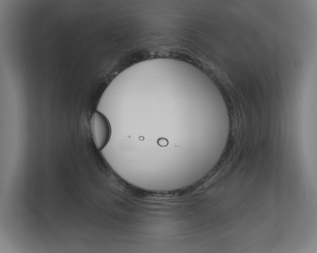 X0000110900661200906180947