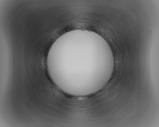 X0000110900663200906180947
