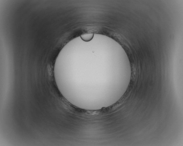 X0000110900667200906180947