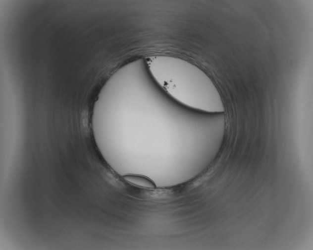 X0000110900670200906180947