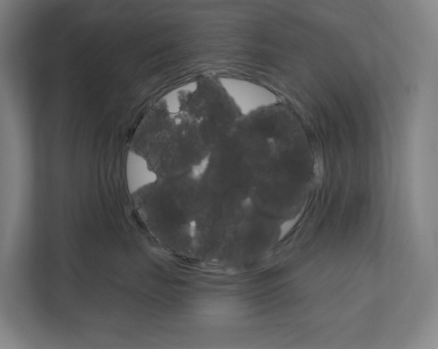 X0000110900671200906180947