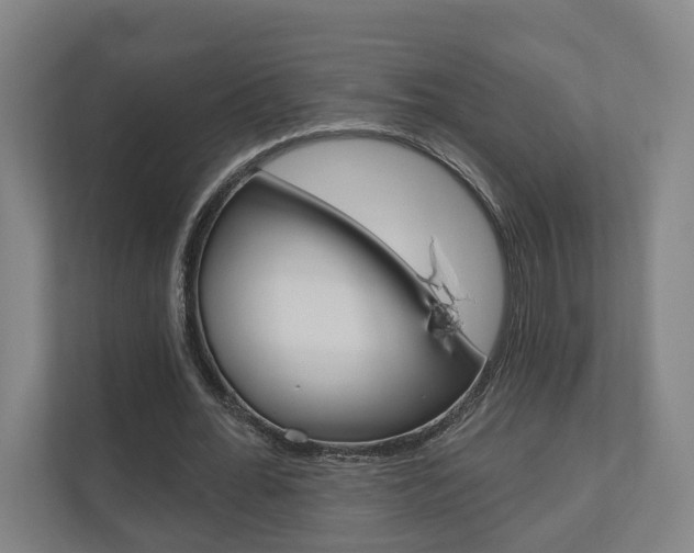 X0000110900676200906180946