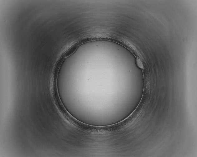 X0000110900677200906180946
