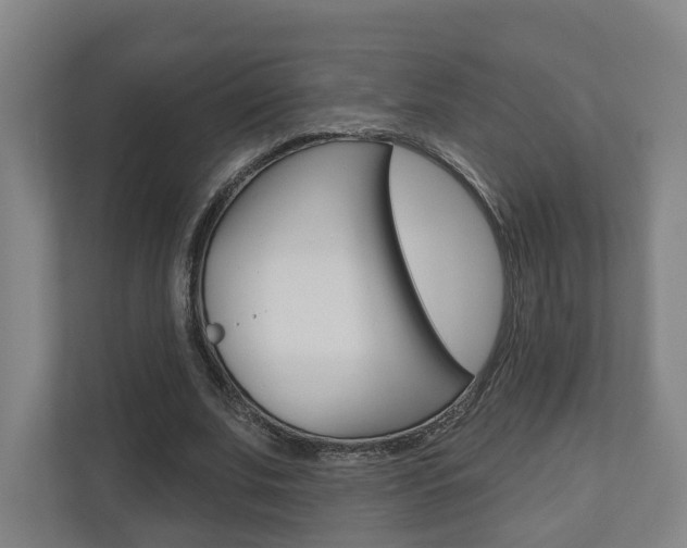 X0000110900679200906180946