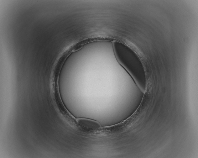 X0000110900680200906180946