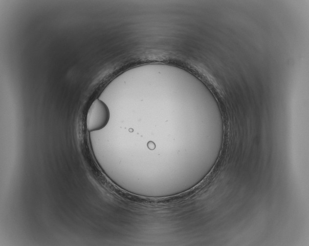 X0000110900683200906180946