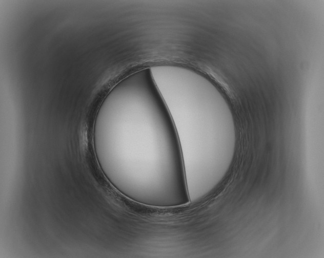 X0000110900685200906180946