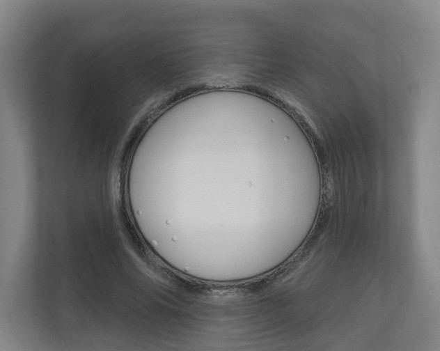 X0000110900686200906180946