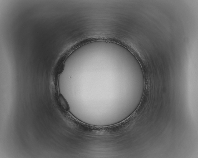 X0000110900688200906180946