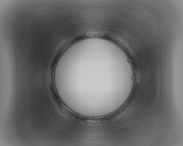 X0000110900690200906180946