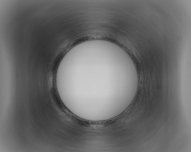 X0000110900694200906180946
