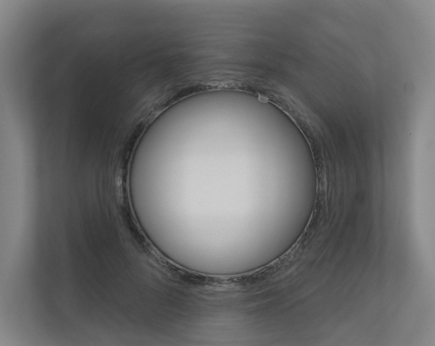 X0000110900696200906180946