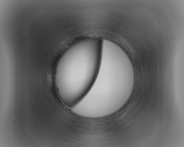 X0000110900697200906180946