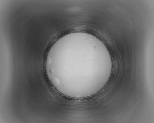 X0000110900698200906180946