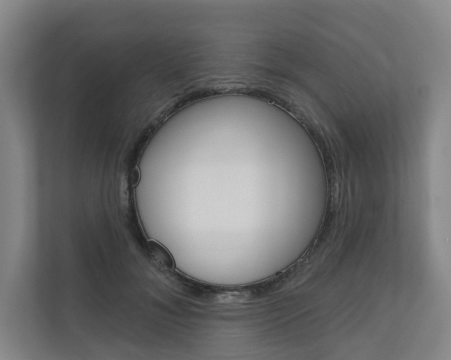 X0000110900700200906180946