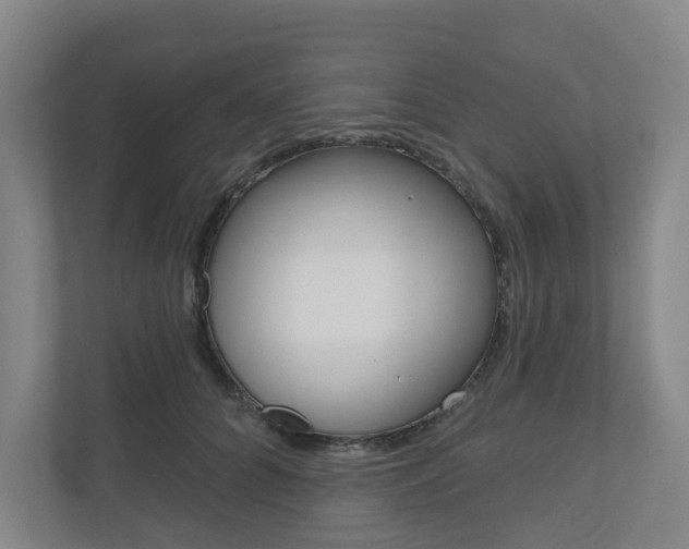 X0000110900704200906180946
