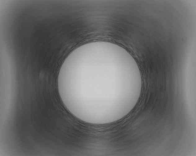 X0000110900709200906180946