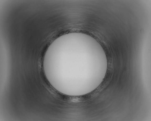 X0000110900710200906180946
