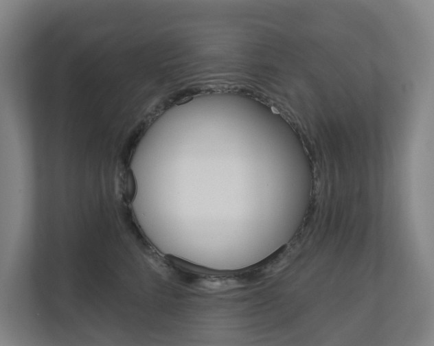 X0000110900712200906180946