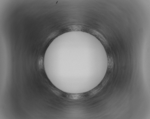 X0000110900717200906180946