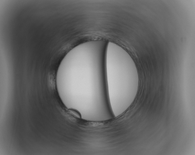 X0000110900719200906180946
