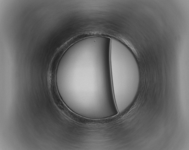 X0000110900722200906180945