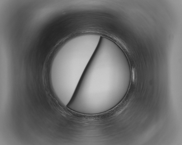 X0000110900723200906180945