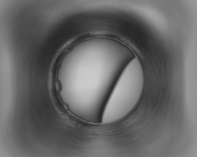 X0000110900724200906180945