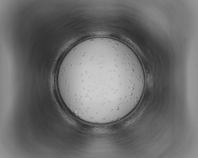 X0000110900725200906180945