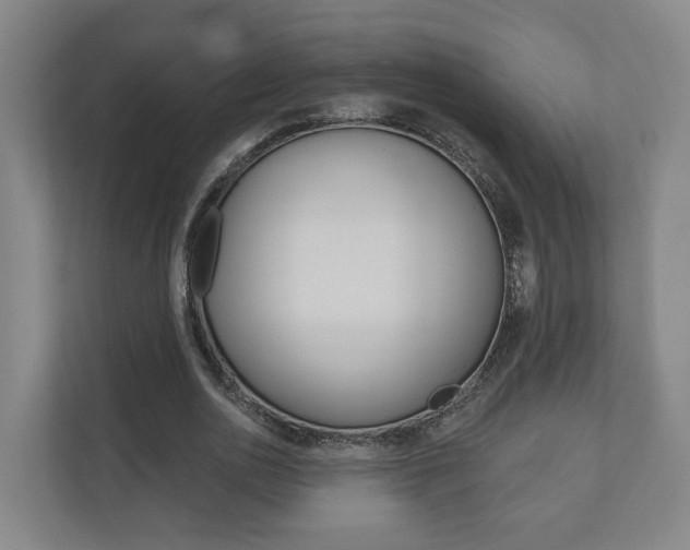 X0000110900726200906180945