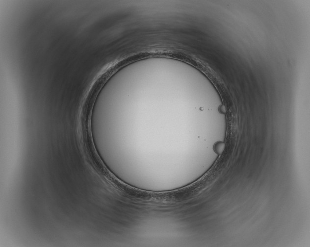X0000110900727200906180945
