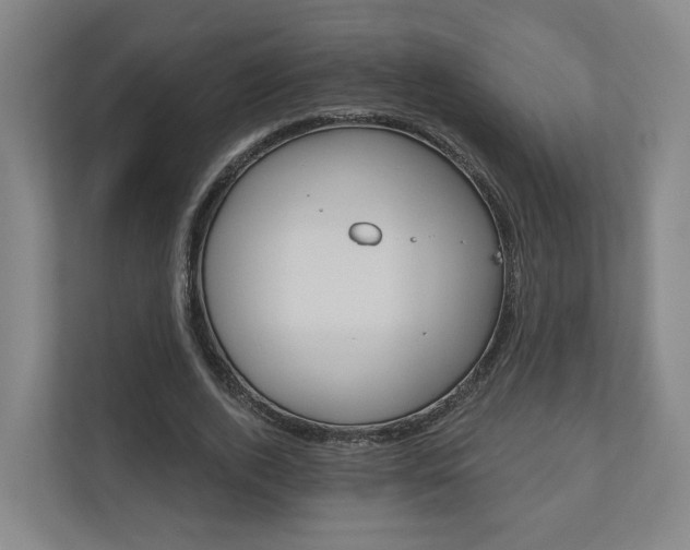 X0000110900728200906180945