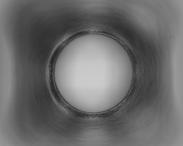 X0000110900730200906180945
