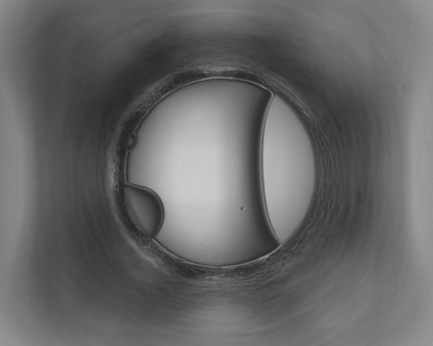 X0000110900732200906180945