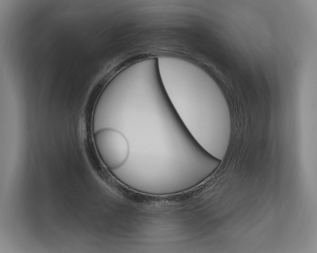 X0000110900734200906180945