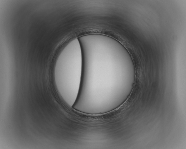 X0000110900735200906180945