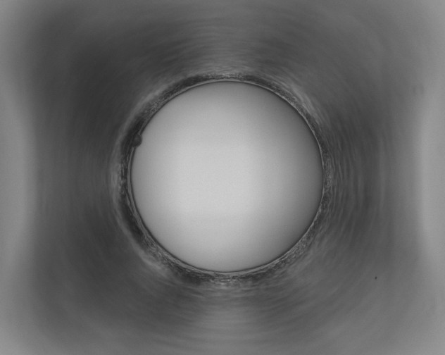 X0000110900736200906180945