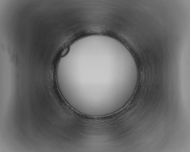 X0000110900739200906180945