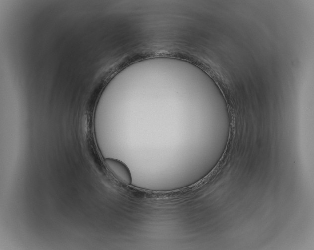 X0000110900740200906180945
