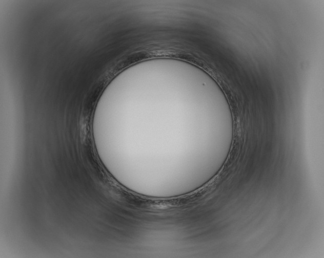 X0000110900741200906180945