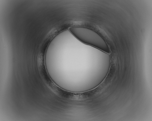 X0000110900744200906180946