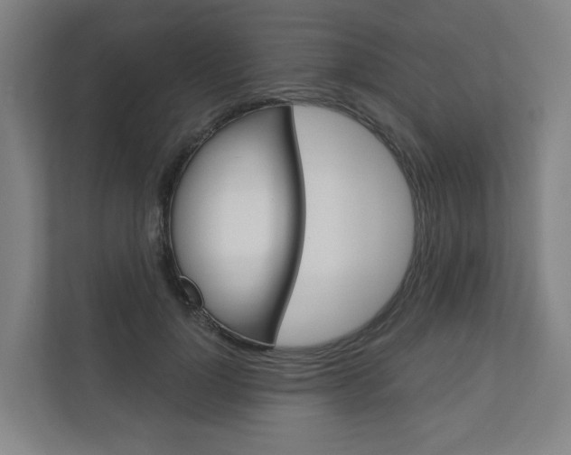 X0000110900748200906180946