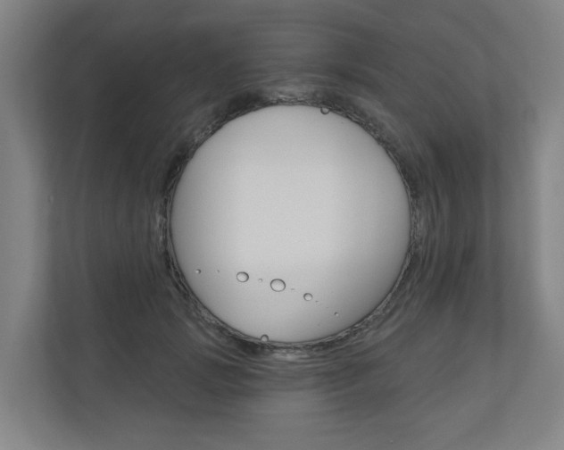 X0000110900749200906180946