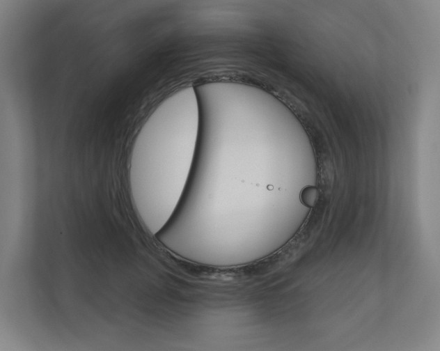 X0000110900751200906180946
