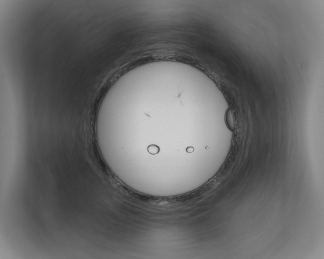 X0000110900755200906180946