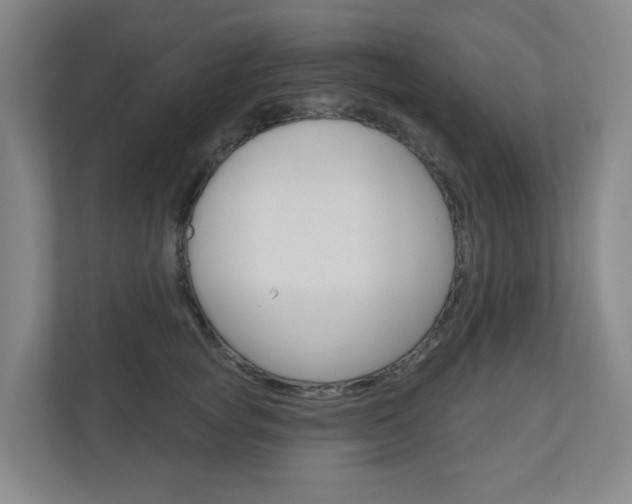 X0000110900757200906180946