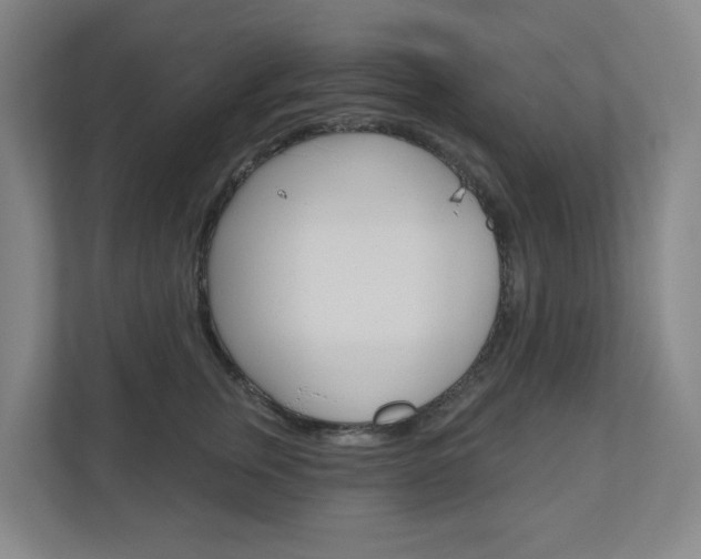 X0000110900759200906180946